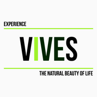 VIVES Experience 